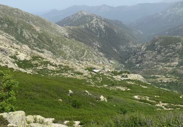 Trail Walking Orto - Manganu Petra Piana - Photo