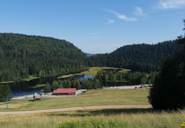 Percorso Marcia La Bresse - Lac de Lispach longemer feigne - Photo