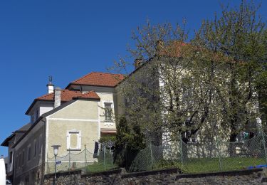 Percorso A piedi Gemeinde Bromberg - Hochwolkersdorf - Karnthal - Rosenbrunn - Ghf Fernblick - Brenntföhren - Hochwolkersdorf - Photo