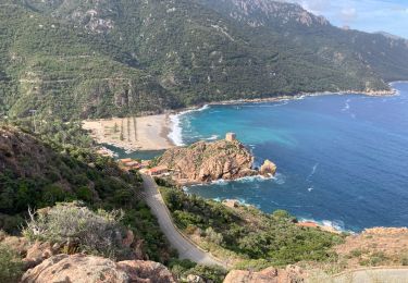 Excursión Senderismo Ota - Mare et monti deux à l’envers - Photo