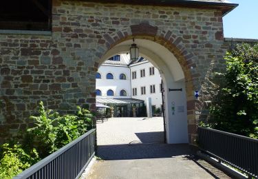 Randonnée A pied Carlsberg - Eckbach-Mühlenwanderweg - Photo