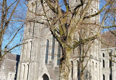 Randonnée Marche Anhée - Maredsous 040322 - Photo