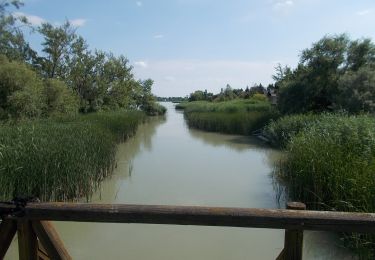 Tour Zu Fuß Unbekannt - K négyzet - Photo