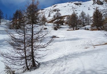 Percorso Sci alpinismo Puy-Saint-Pierre - pro rel - Photo