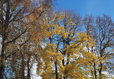 Tour Zu Fuß  - Hälsans Stig - Lindås - Photo