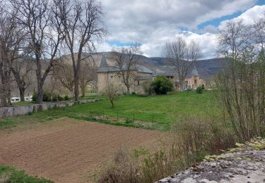 Tocht Stappen Saint-Jean-du-Bruel - Le roc nantais - Photo