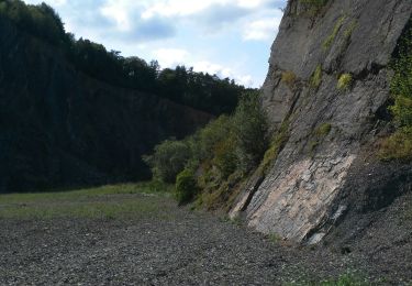 Tour Elektrofahrrad Hohenfels - Dochamps Hotton Erezee - Photo