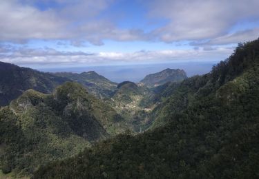 Trail Walking São Roque do Faial - 2025-03-27 ribero da frio levada balcon - Photo