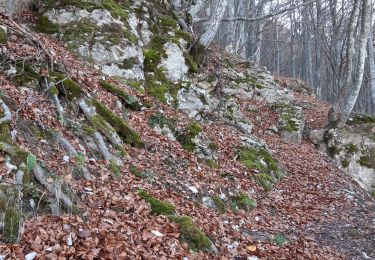 Tour Wandern Bouvières - mielandre par le pin - Photo