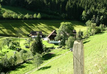 Randonnée A pied Simonswald - Wildbachtour - Photo