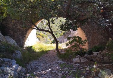 Excursión Senderismo Évenos - Cap Gros et tour des Quatres Auros - Photo