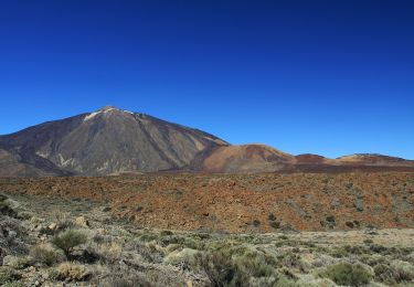 Excursión A pie La Orotava - S-8 El Filo - Photo