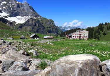 Excursión A pie Engelberg - Walenpfad - Photo