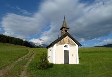 Tocht Te voet Maria Alm am Steinernen Meer - Speed Trail - Photo