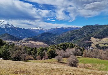 Tour Wandern Le Vernet - Sommet de Grisonnière via le Vernet - Photo