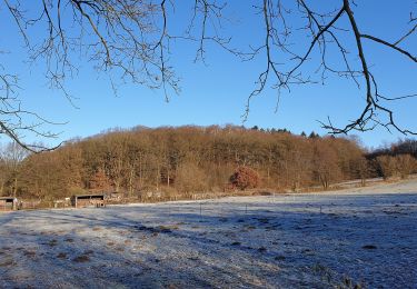 Excursión A pie Ammersbek - Rund um Wulfsdorf und Hoisbüttel - Photo