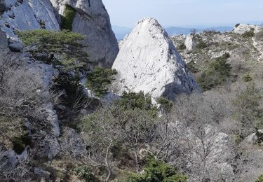 Randonnée Marche Plan-d'Aups-Sainte-Baume - Plan d'Ops- Sentier merveilleux- Pas de l'aï - Photo