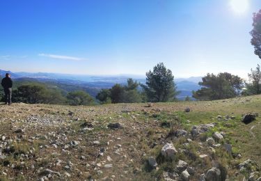 Excursión Senderismo Ollioules - gros cerveau - Photo