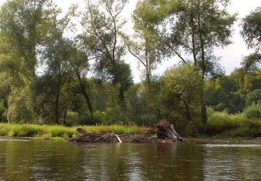 Tour Zu Fuß Bezirk Preschau - Lemešanská špacírka - Photo