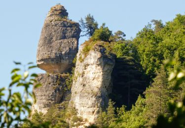 Trail Walking La Canourgue - Au-dessus de La Canourgue - Photo