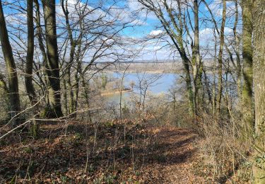 Trail Walking Chimay - Lompret 23 - Photo
