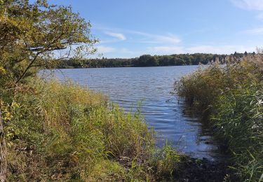 Tour Wandern Lathus-Saint-Rémy - 17oct2021 - Photo