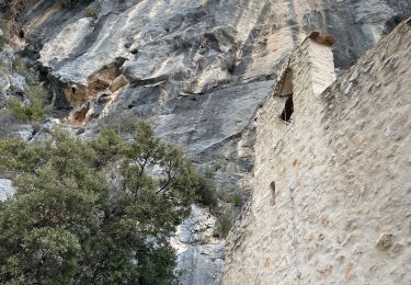 Excursión Senderismo Puyloubier - Ste victoire  - Photo