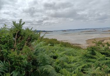 Tocht Noords wandelen Plouezoc'h - le durduff c'est un Samson le guerzit - Photo