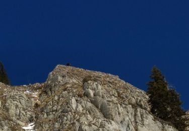 Trail Touring skiing Mieussy - CHAVASSE + CHAVAN+ HTE POINTE - Photo