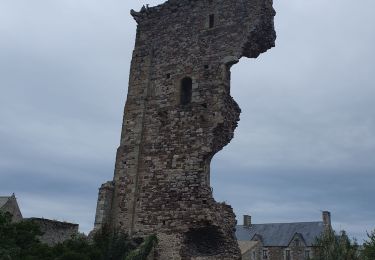 Tour Wandern Regnéville-sur-Mer - Régneville - Photo