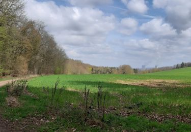 Trail Walking Huy - Beaufort - Vacheresse - vallée Sollière - Photo