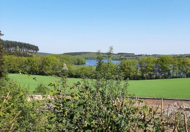 Tour Elektrofahrrad Champeau-en-Morvan - slf080522 - Photo