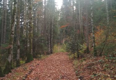 Trail Walking Remoray-Boujeons - vers la Baume et autour - Photo