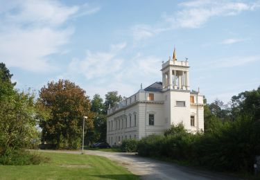 Randonnée A pied Rossau - Rundweg Ringethal - Photo