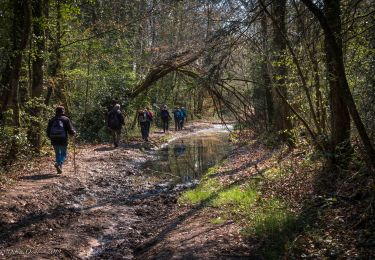 Trail Walking Charencey - Saint-Maurice-les-Charencey - Tourouvre 28 km - Photo