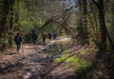 Tour Wandern Charencey - Saint-Maurice-les-Charencey - Tourouvre 28 km - Photo