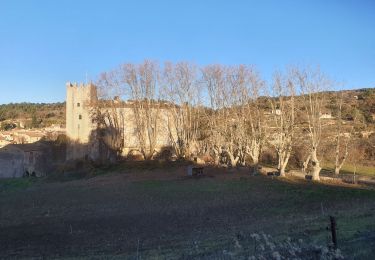 Tour Wandern Esparron-de-Verdon - 2023-01-10 Esparron - Côte de Vauclare - Photo