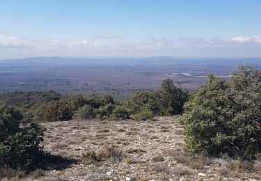 Tocht Mountainbike Moissac-Bellevue - [PAT] 2019_03_17 Rando Moissac-Bellevue - Photo