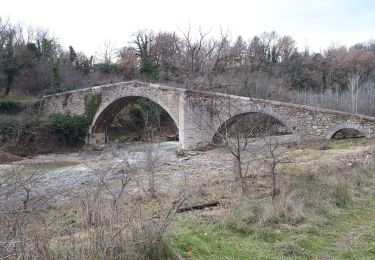 Trail Walking Mane - 191218chateauneuf - Photo