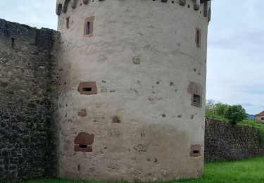 Excursión Senderismo Bergheim - Berghien  - Photo