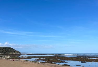 Tour Wandern Saint-Jean-de-Luz - St Jean de Luz - Bidart - Photo