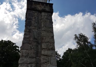 Tour Wandern Vorbruck - Fréconrupt et la vierge de La Broque - Photo