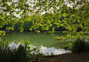 Trail Walking Clamart - Tour des etangs - Bois de Clamart et de Meudon - Photo