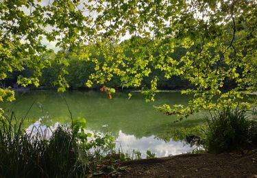 Tocht Stappen Clamart - Tour des etangs - Bois de Clamart et de Meudon - Photo