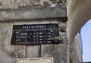 Excursión Senderismo Valvignères - Valvignères le Moulinas 15km. - Photo