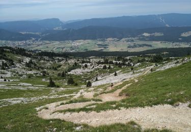 Randonnée Marche Lans-en-Vercors - Pic Saint-Michel et col d'Arc Vercors - Photo