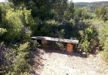 Tocht Te voet Martigues - Boucle de Boumandariel - Photo