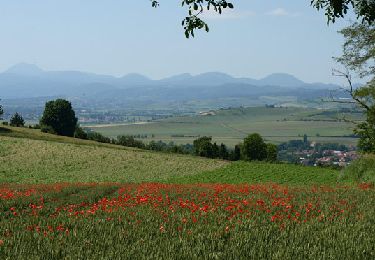 Tocht Stappen Artonne - Artonne_Croix_Rameaux - Photo