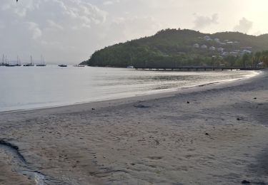 Tour Wandern Les Trois-Îlets - Anse à l'Ane - Anse Mitan par Fort d'Alet. - Photo