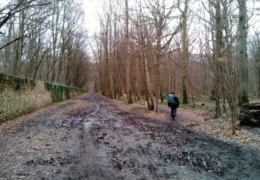 Percorso Marcia Clamart - Meudon la forêt - Photo